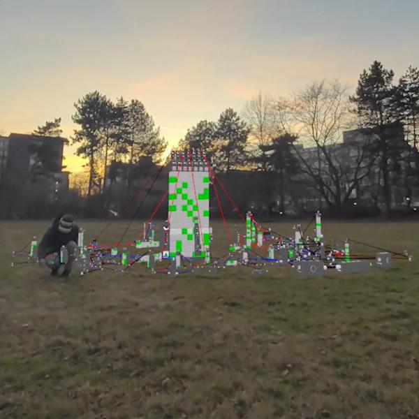 A view of the garden patch